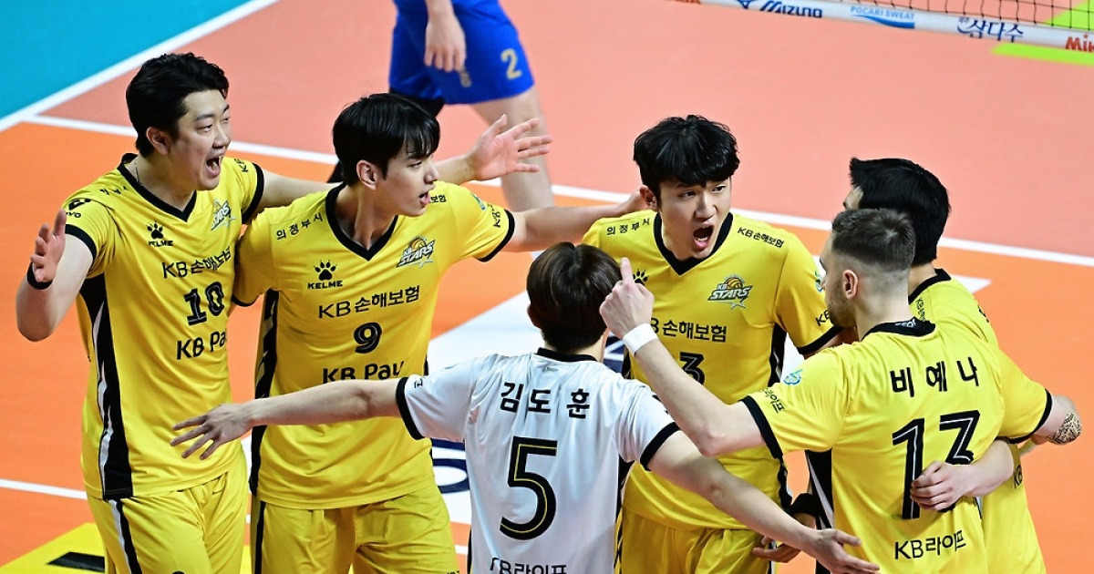 '나경복·차영석 동반 19점' KB손보, '박철우 매직' 잠재웠다(종합)