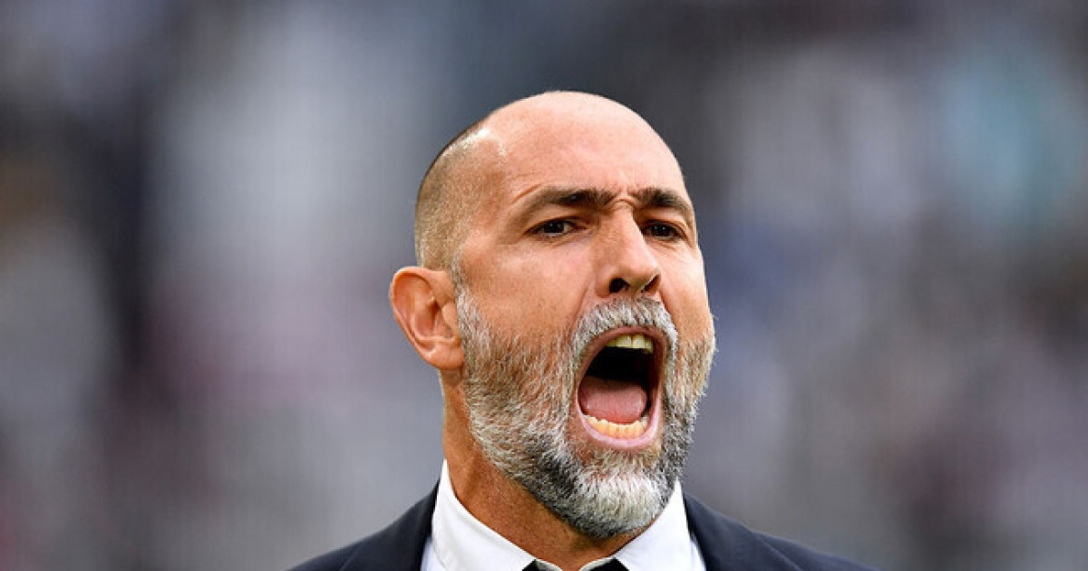 토트넘 관련 국내 기사 썸네일 이미지