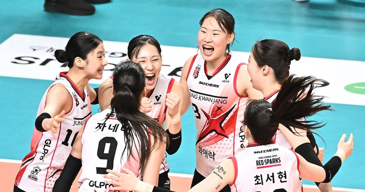 V리그, 정관장과 대한항공의 승리... PO 진출 경쟁 치열해진다