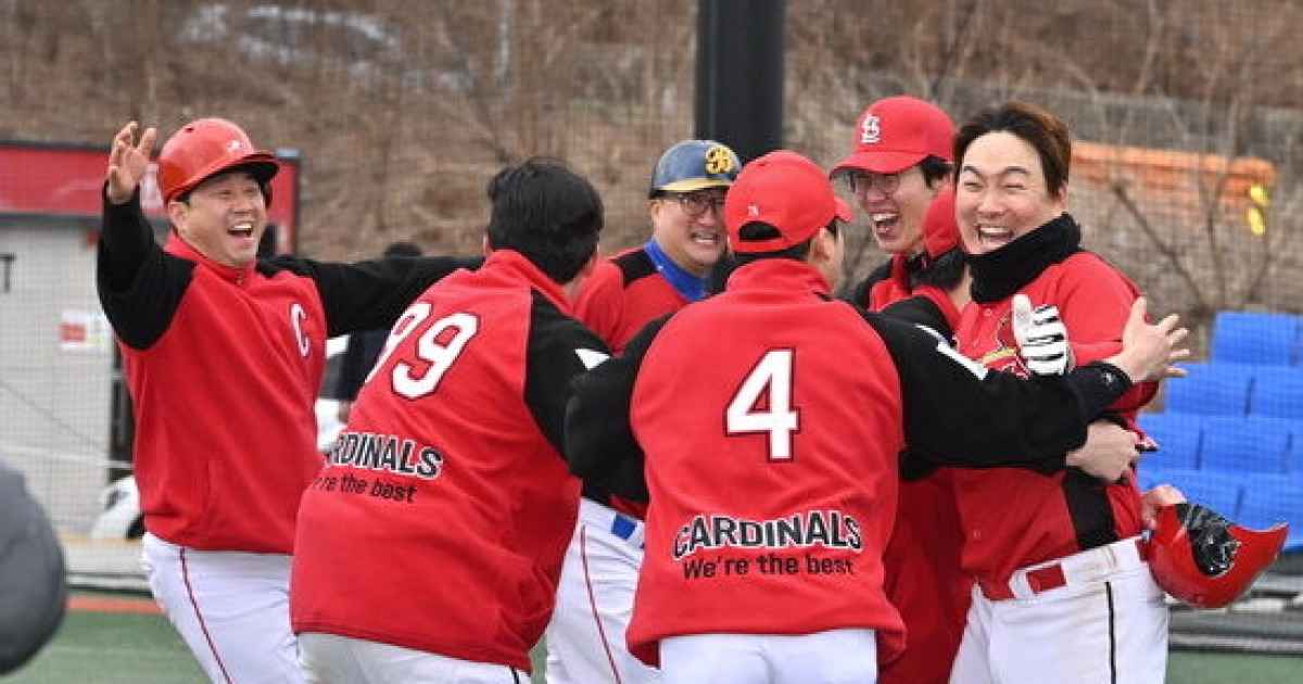 울산 야구계를 주도하는 두 강자, 비타돌스와 카디널스의 승리 비결은?