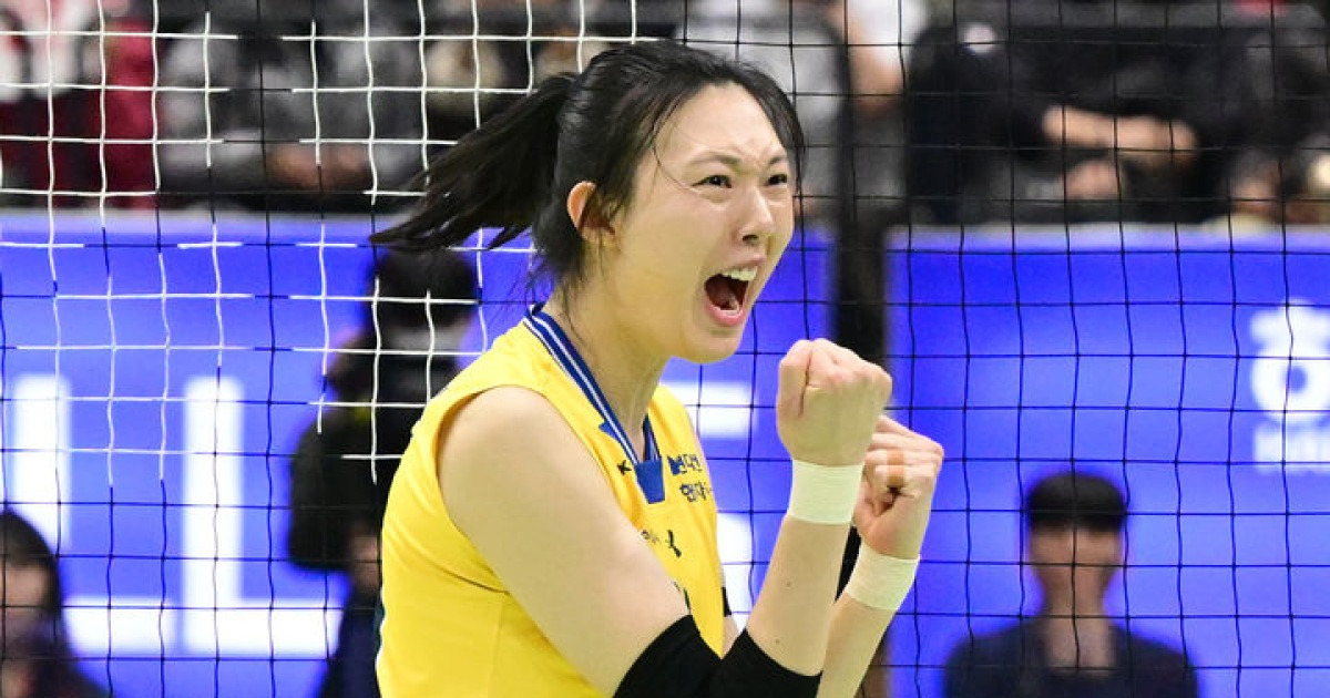 배구계의 전설, 양효진의 은퇴 선언... 19년간의 영광의 기록