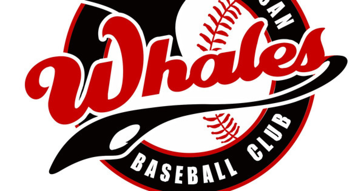 울산웨일즈, 20일 홈 개막전 앞두고 연습경기·훈련 전면 개방