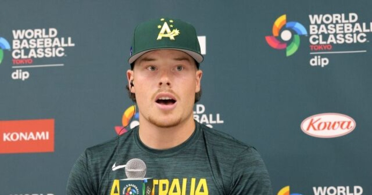 바자나 관련 보도 이미지