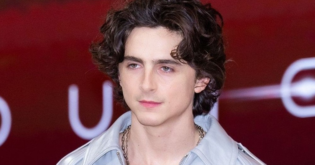 티모시 샬라메 관련 국내 보도 이미지