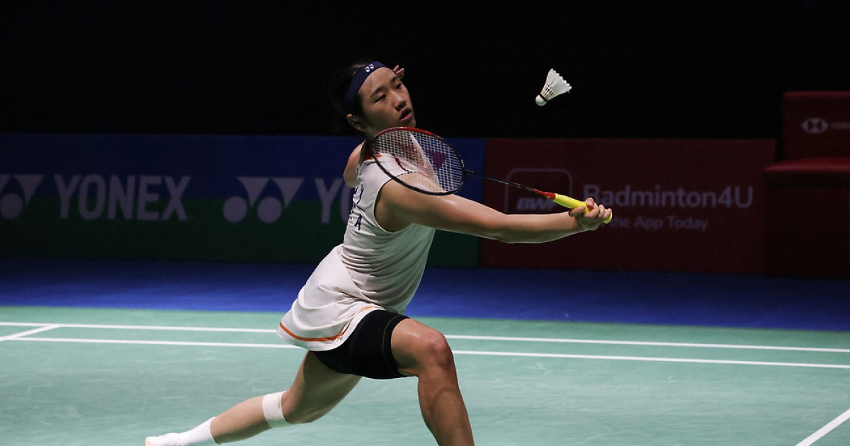 전영오픈 관련 보도 이미지