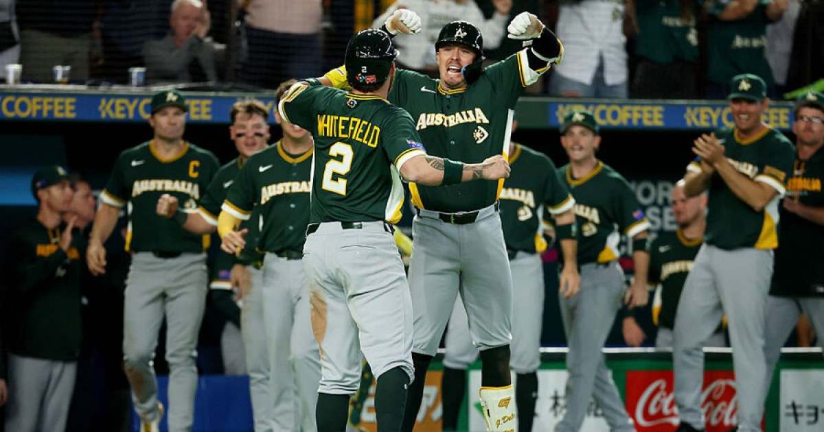 다음 스포츠 WBC 관련 기사 이미지