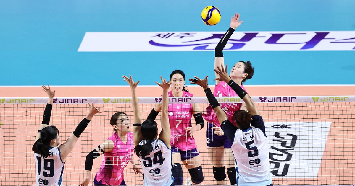 '봄 배구' 24일부터 돌입…여자부 준PO로 시작