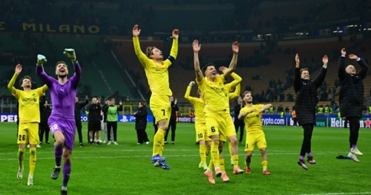 보되글림트 관련 뉴스 이미지