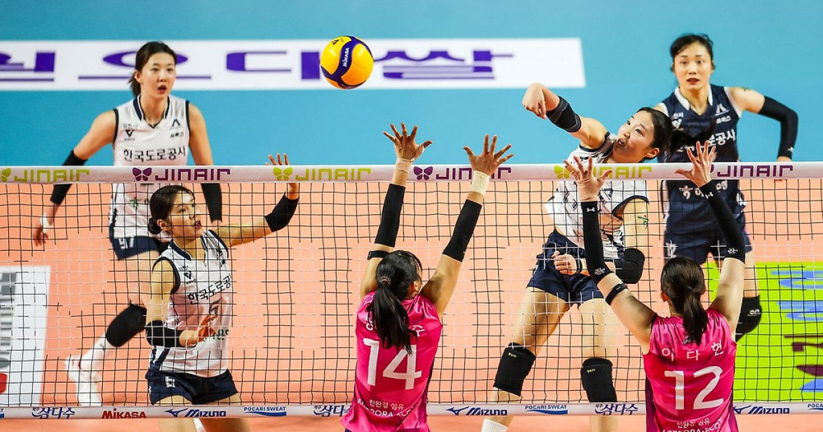 봄 배구 초대장의 마지막 주인은...피 말리는 최종전 예고