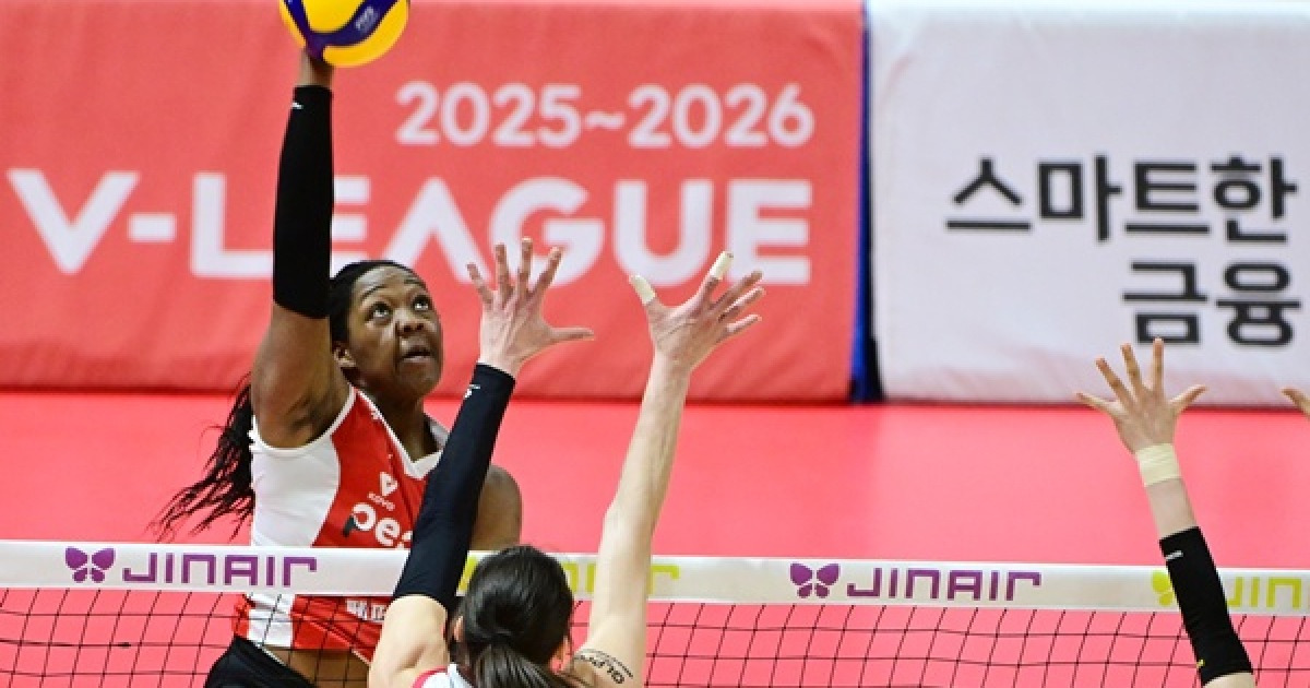 '조이 30점 폭발' 페퍼저축은행, 최종전서 정관장에 3-1 승리…6위로 시즌 마감