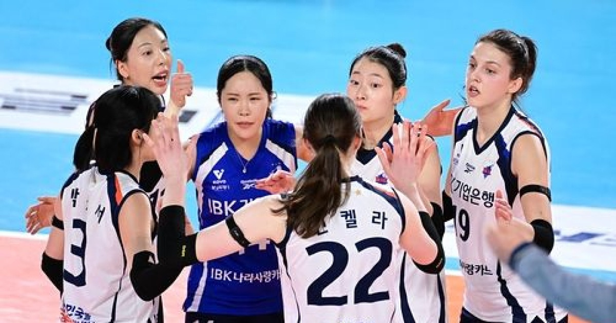 봄 배구 초대장, 마지막 주인은?