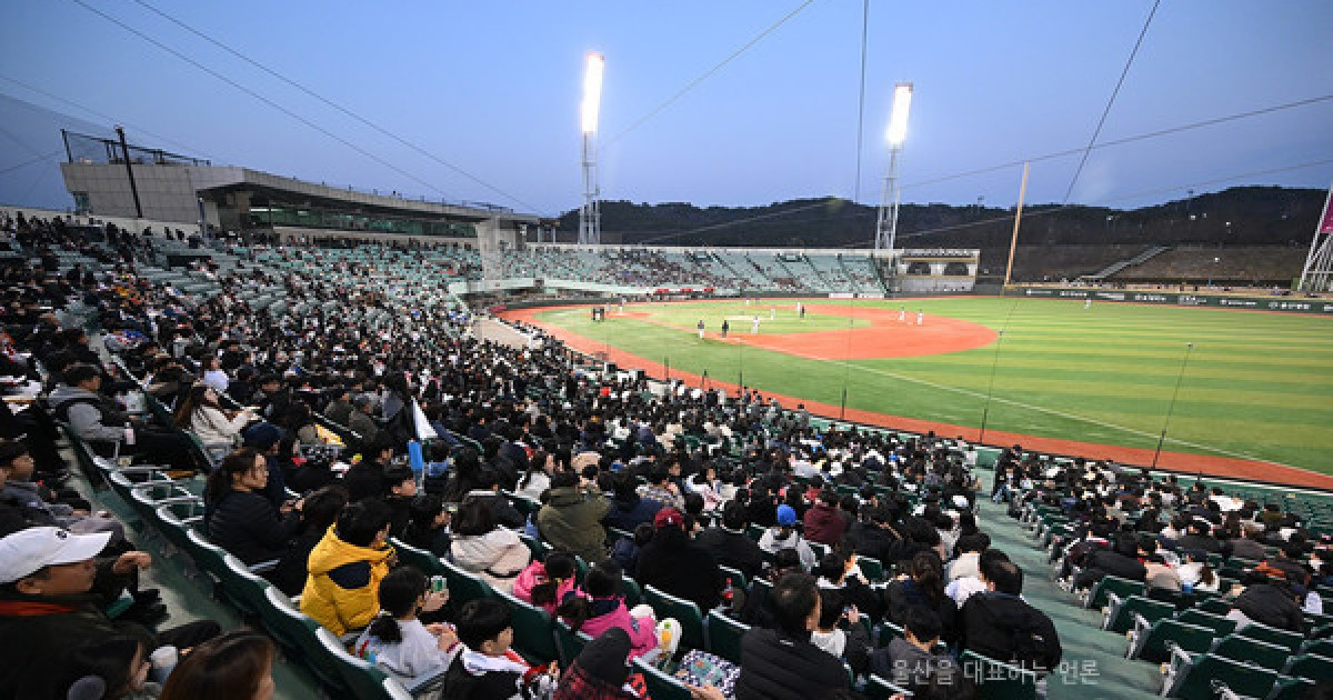 울산 웨일즈 관련 다음 뉴스 이미지