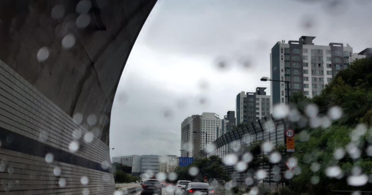 맑은 봄 하늘 아래 핀 꽃