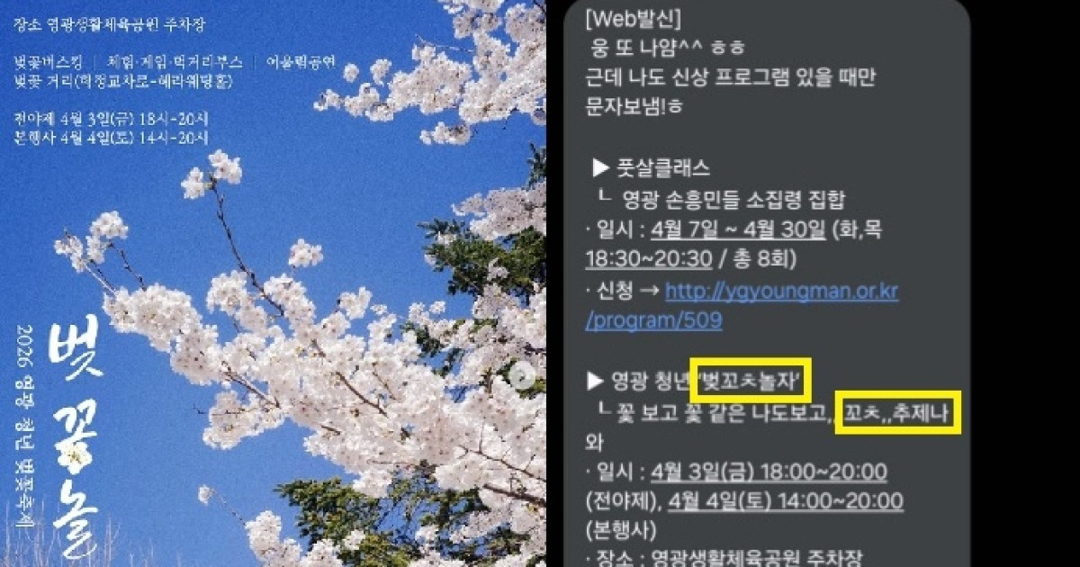 “벚꼬ㅊ 놀자” “꼬ㅊ, 추제나와” 꽃축제 홍보 문자에 ‘황당 오타’