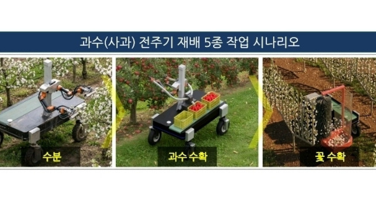 경북, AI 재배관리 로봇 개발…사과 농사 전 과정 자동화