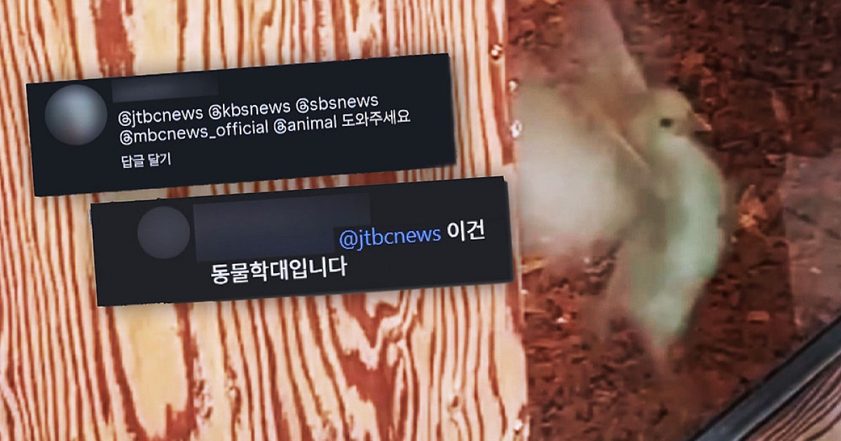 동물원 관련 보도 이미지