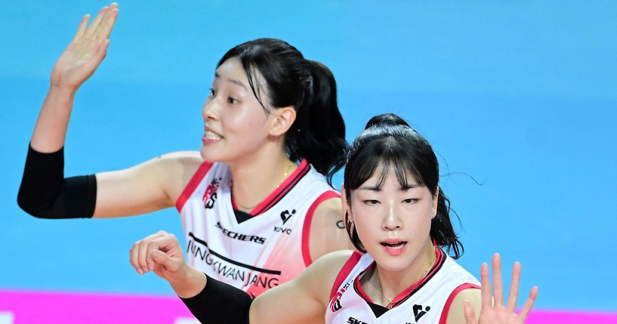 여자배구 FA 관련 보도 대표 이미지