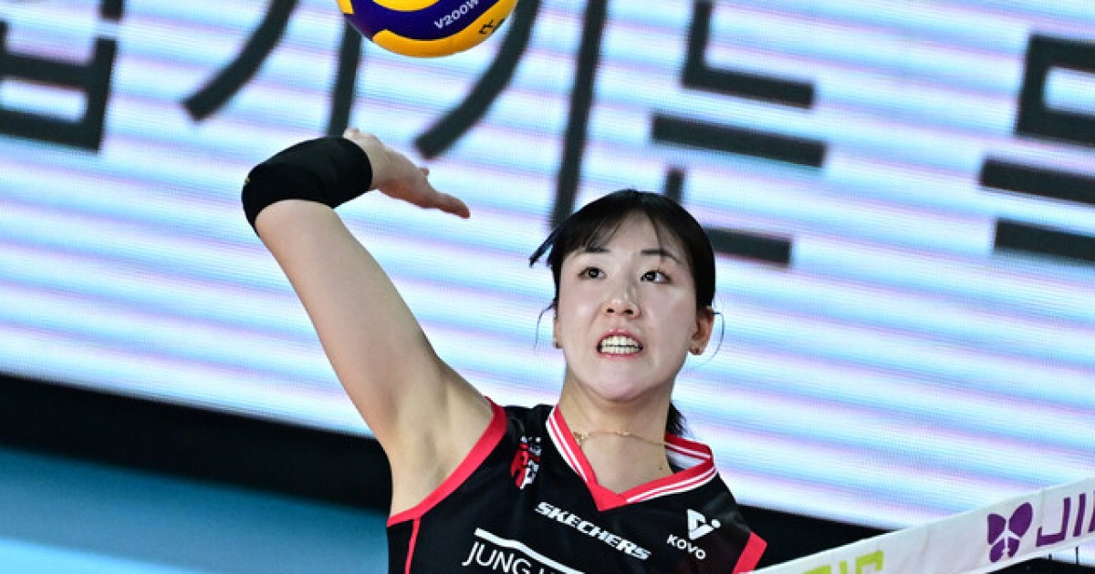프로배구 여자부 FA 20명 공시…국대 미들블로커 정호영 최대어