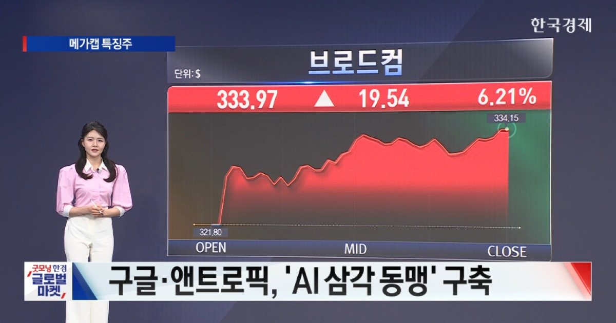 브로드컴 'AI 삼각 동맹'에 독주... 지정학 리스크에 엇갈린 메가캡 [ 美증시 특징주 ]