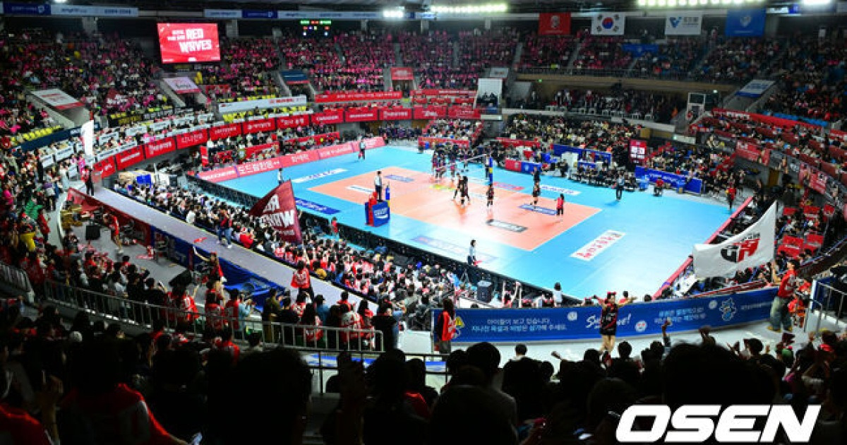 'FA 시장 열린다' 여자부 20명 풀렸다…정관장 4명 최다 [공식 발표]