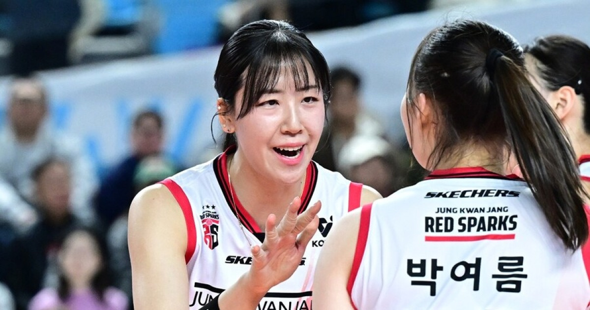 최대어는 정호영? 여자배구 FA 20명 명단 공시…협상 기간 4월 21일까지