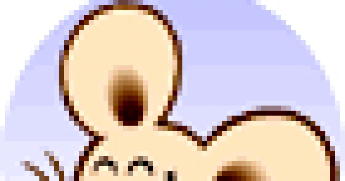 띠별 운세 기사 대표 이미지