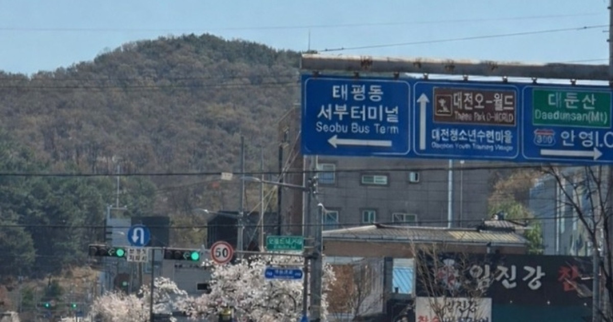 ‘AI 사진?’ 동물원 탈출 늑대 ‘늑구’ 가짜 사진에 ‘골든타임’ 놓쳤다