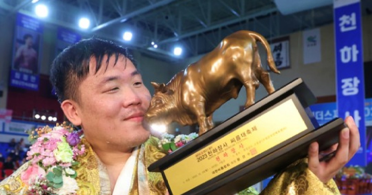 [스포츠박사 기자의 스포츠용어 산책 1754] 씨름 천하장사에게 왜 ‘황소 트로피’를 줄까