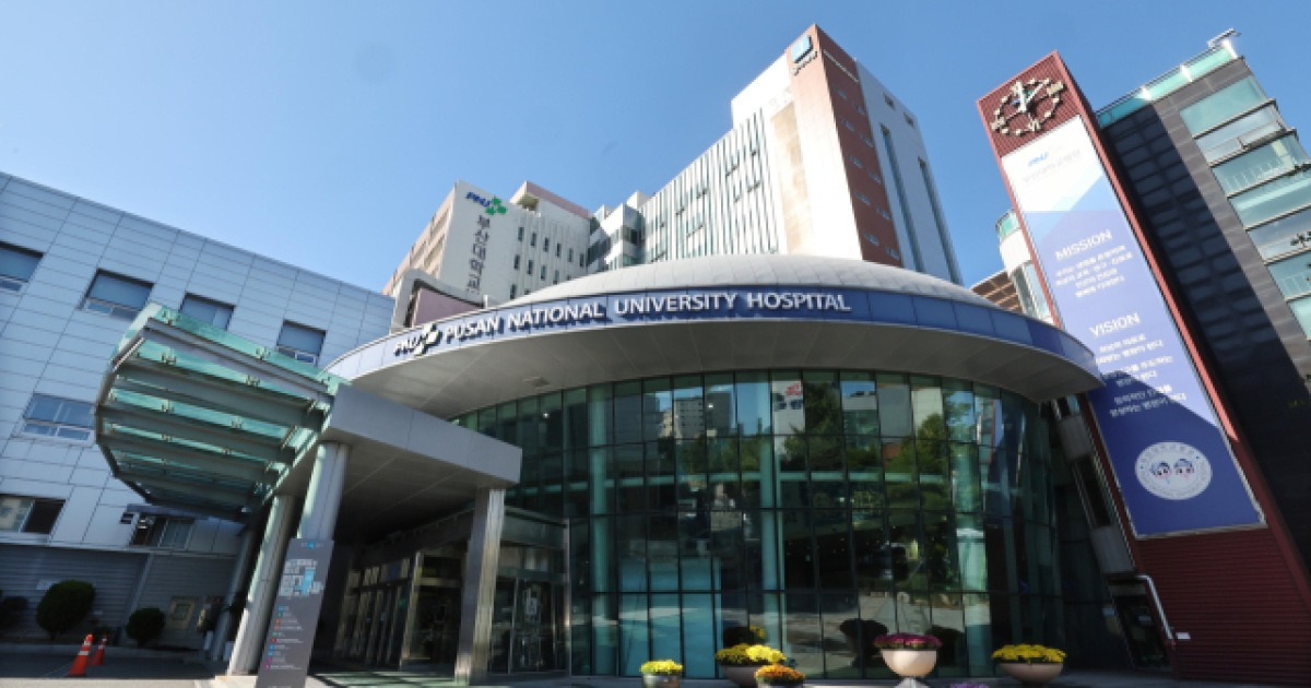 권역책임의료기관에 AI 기반 진료시스템 120억 지원