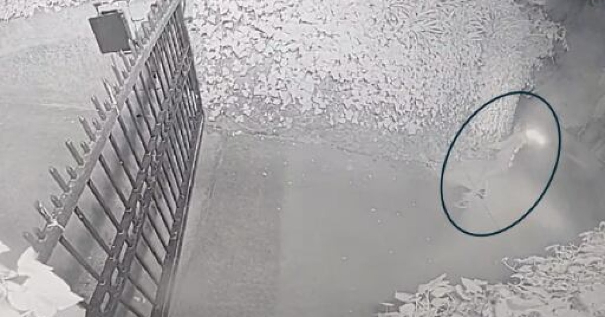 “일자리 뺏긴다” 폭력으로 번진 ‘AI 포비아’… 샘 올트먼 주거지 테러 당해