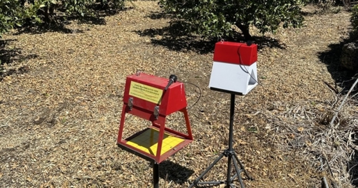 기후변화로 빨라지고 다양해진 해충 출현, 이젠 AI 기술로 잡는다