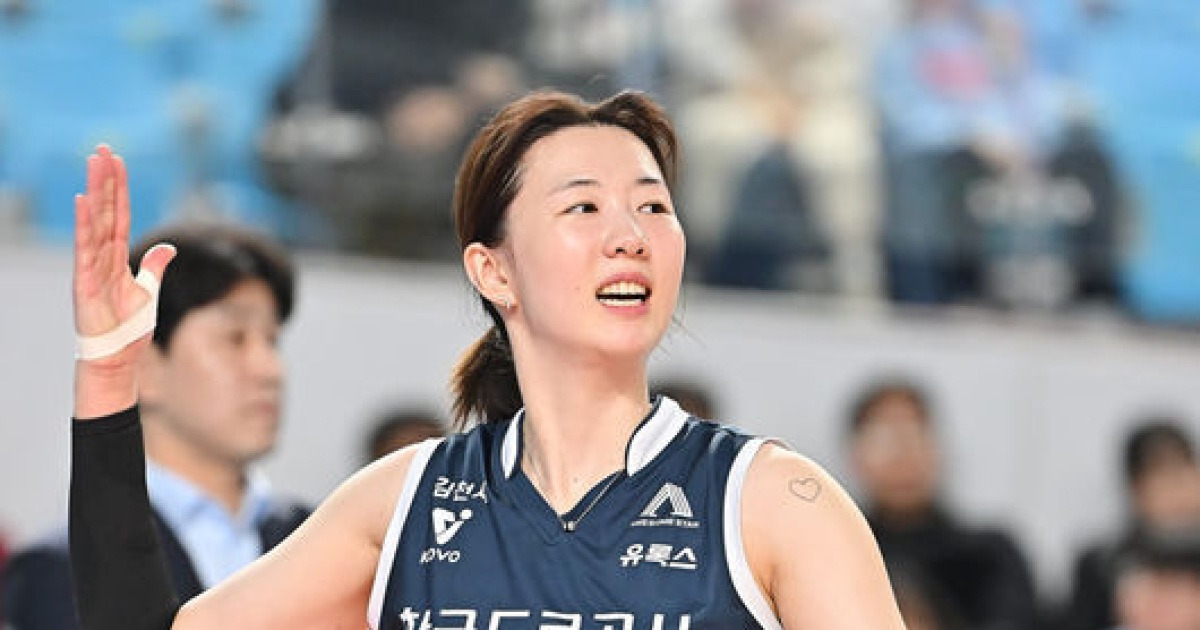 여자배구 대표팀 관련 이미지