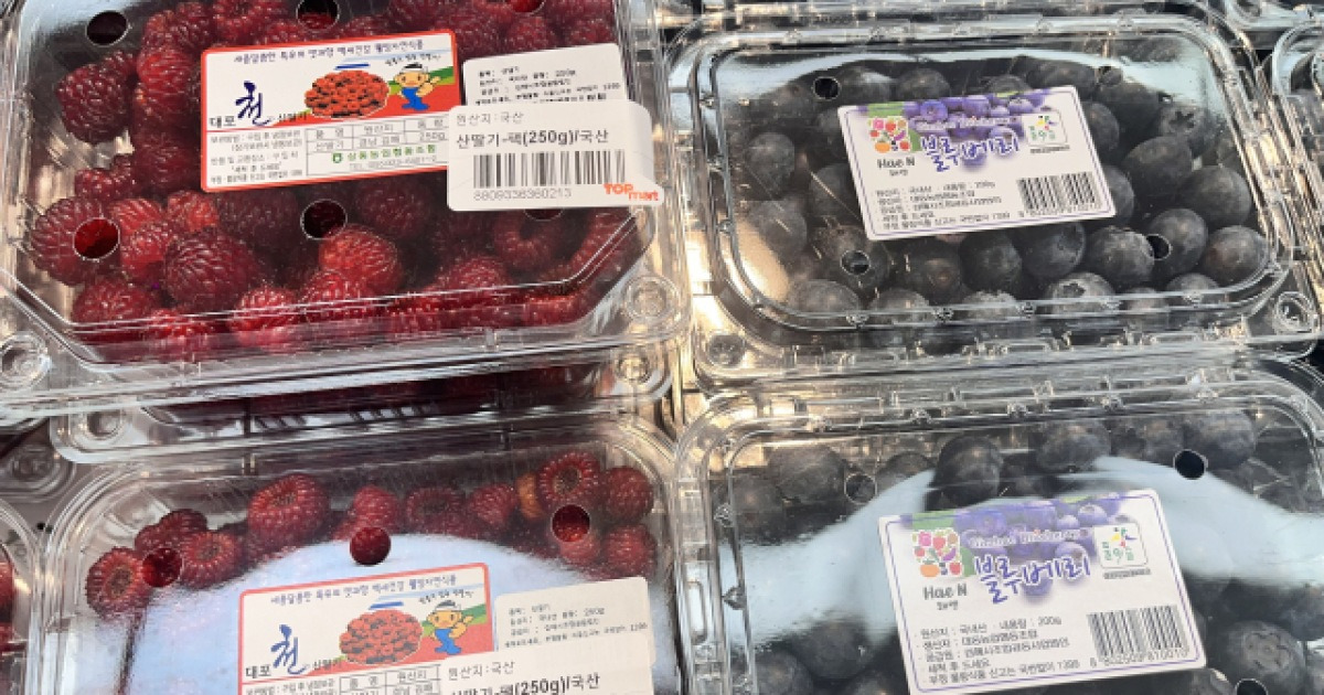 블루베리·산딸기 특별 할인전 관련 이미지