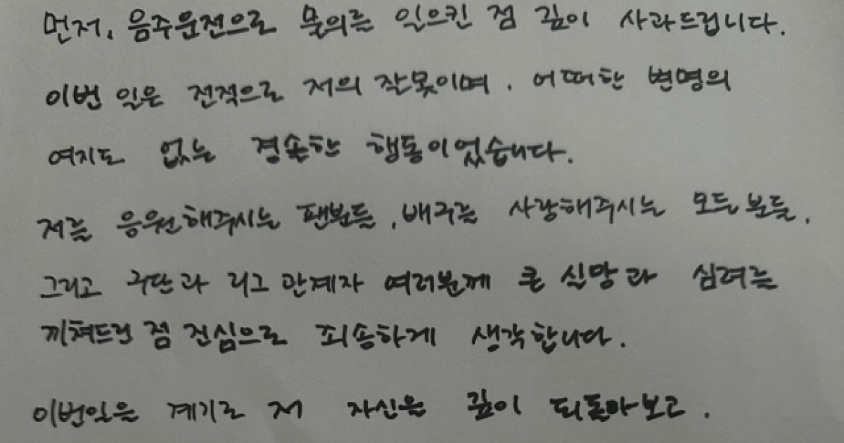 '음주운전' 안혜진, "변명의 여지도 없는 경솔한 행동...평생 반성하는 마음으로 살아가겠다" 사과문 게시
