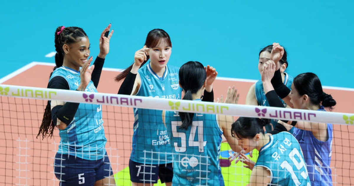 GS칼텍스 '우승 세터' 안혜진, 음주운전…"변명 여지 없는 제 잘못"(종합)