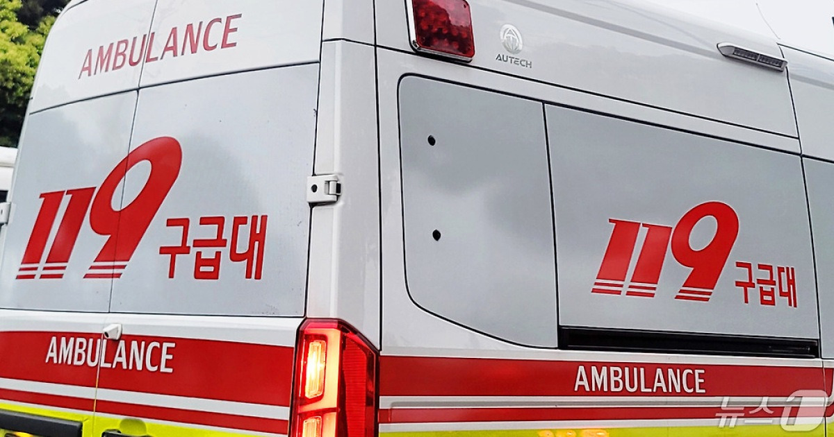 제주서 고사리 채취하던 40대 뱀에 물려 병원 이송