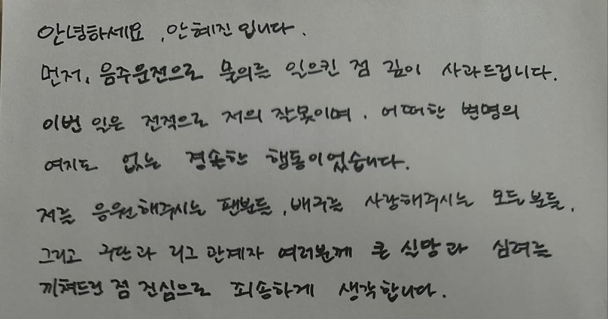 "평생 반성하는 마음으로 살겠다" 음주운전 안혜진, 자필 사과문 게시