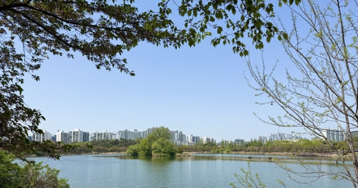 제주도 봄비와 강풍 관련 이미지