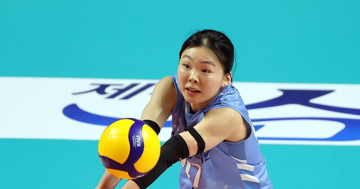 남자부와 정반대… 여자부 리베로는 잔류가 대세