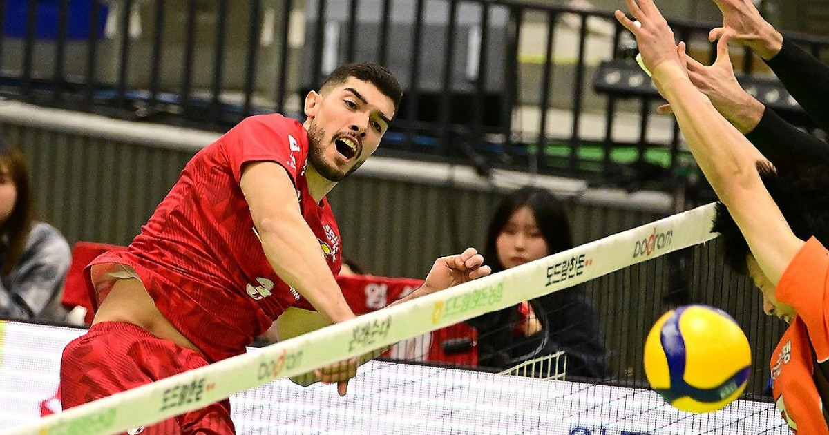 마테우스, V리그 트라이아웃 막차…인드라 참가 취소