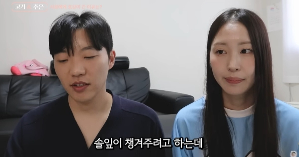 최고기 관련 보도 이미지