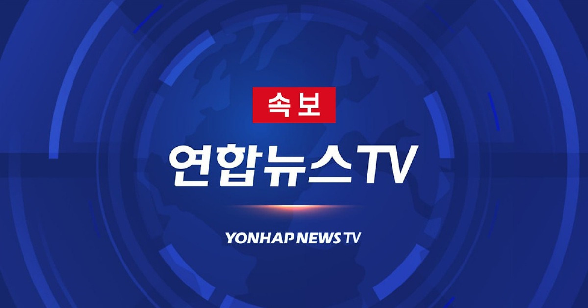 다음(연합뉴스TV) 속보 기사 대표 이미지