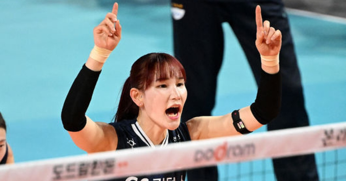 '우승 세터→FA 미아' 안혜진, 음주 운전 후폭풍…시장서 외면 받는다