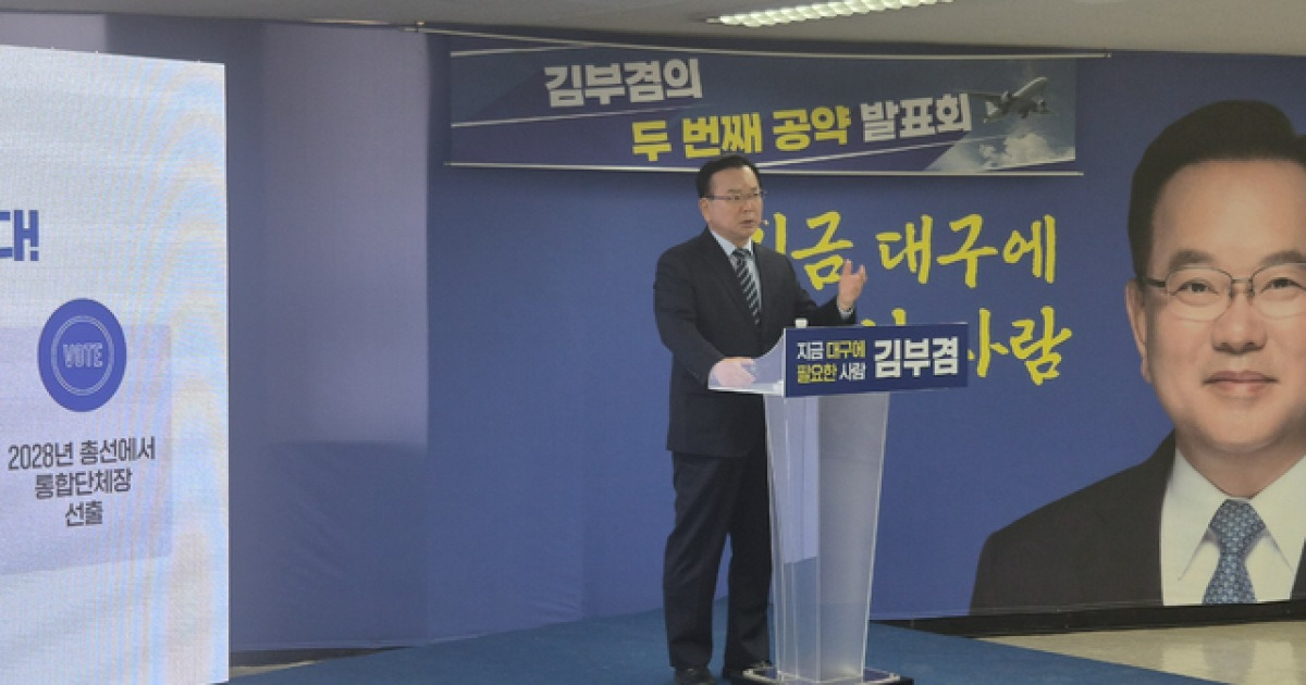 김부겸 TK 통합·공항 동시 추진 보도 이미지