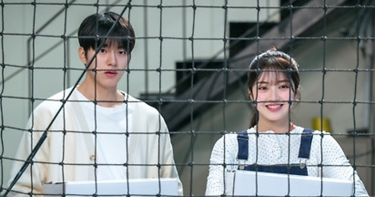 심우면 연리리 관련 보도 이미지(다음 뉴스 썸네일)