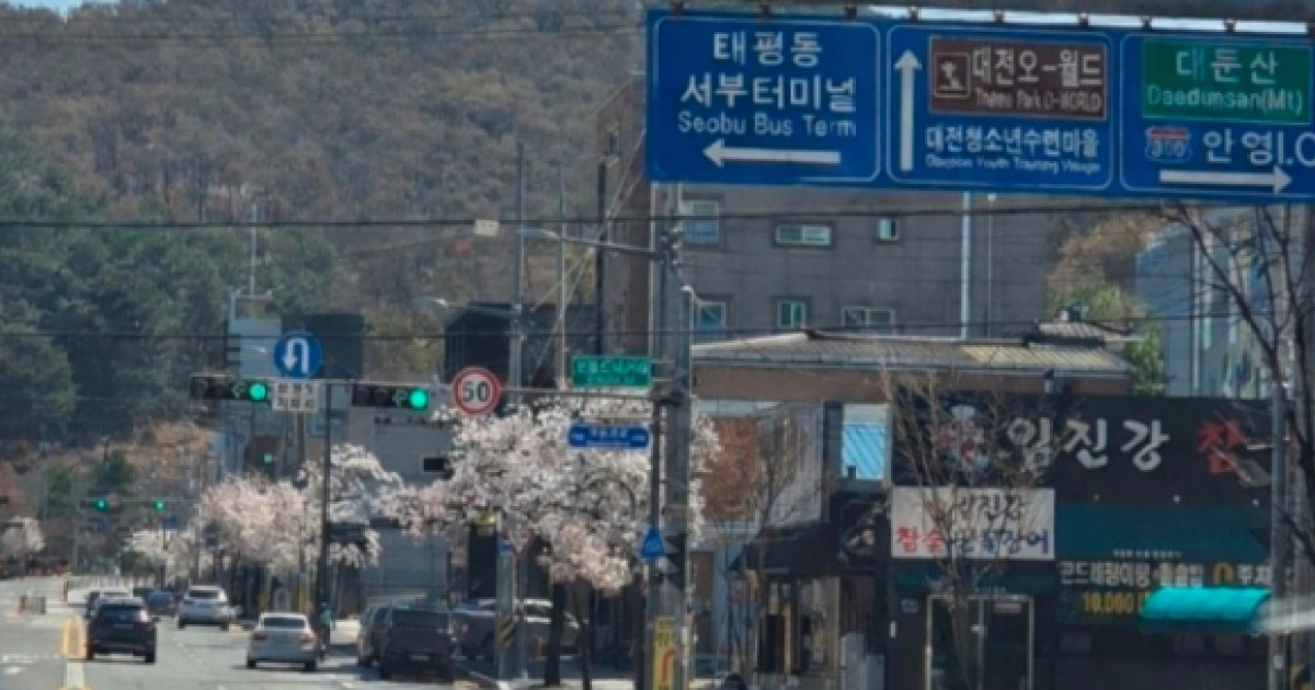 "늑대가 사거리 돌아다녀"⋯AI로 가짜 늑구 사진 생성해 유포한 40대 체포