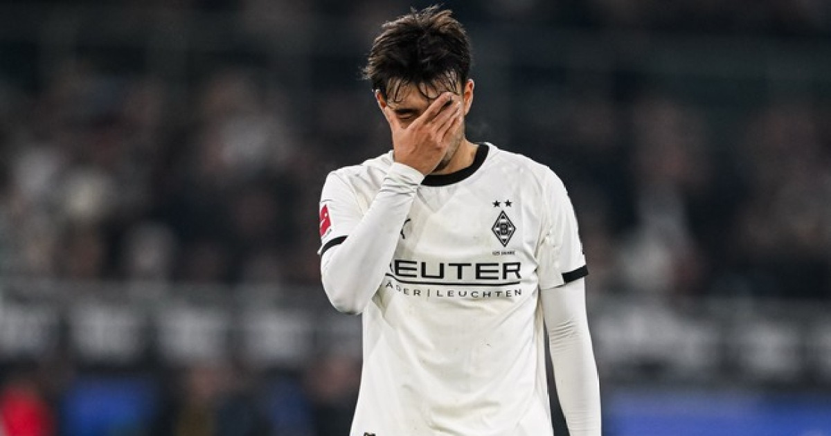 다음 뉴스 카드 이미지