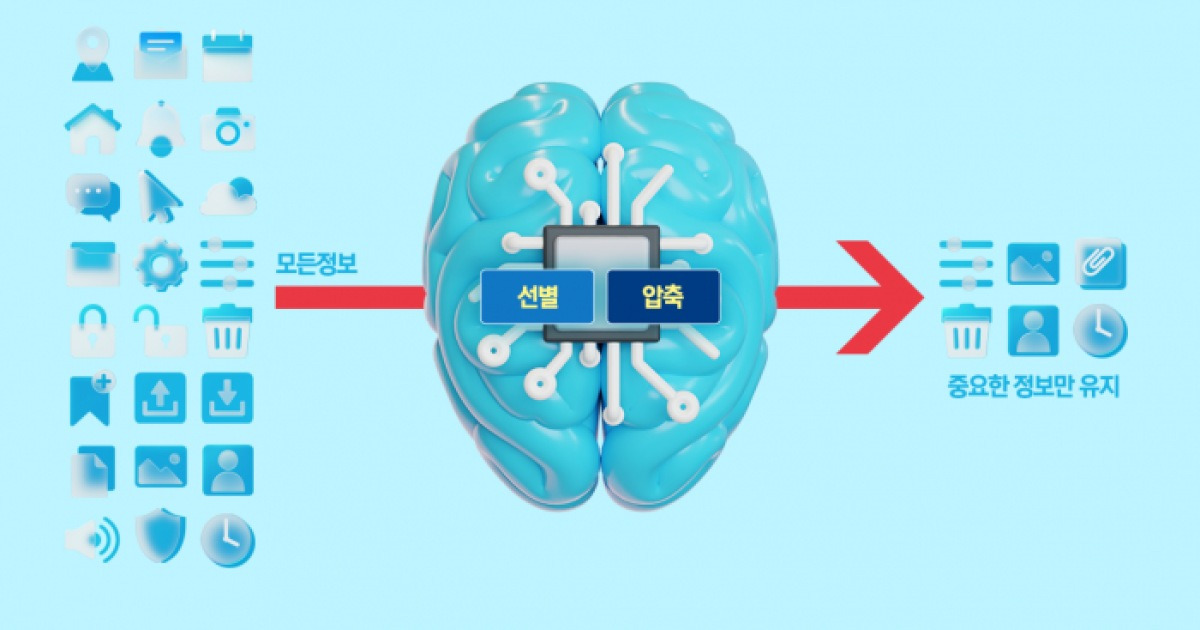 '망각'을 배우는 AI…구글 터보퀀트 등장의 진짜 의미[In-Depth]