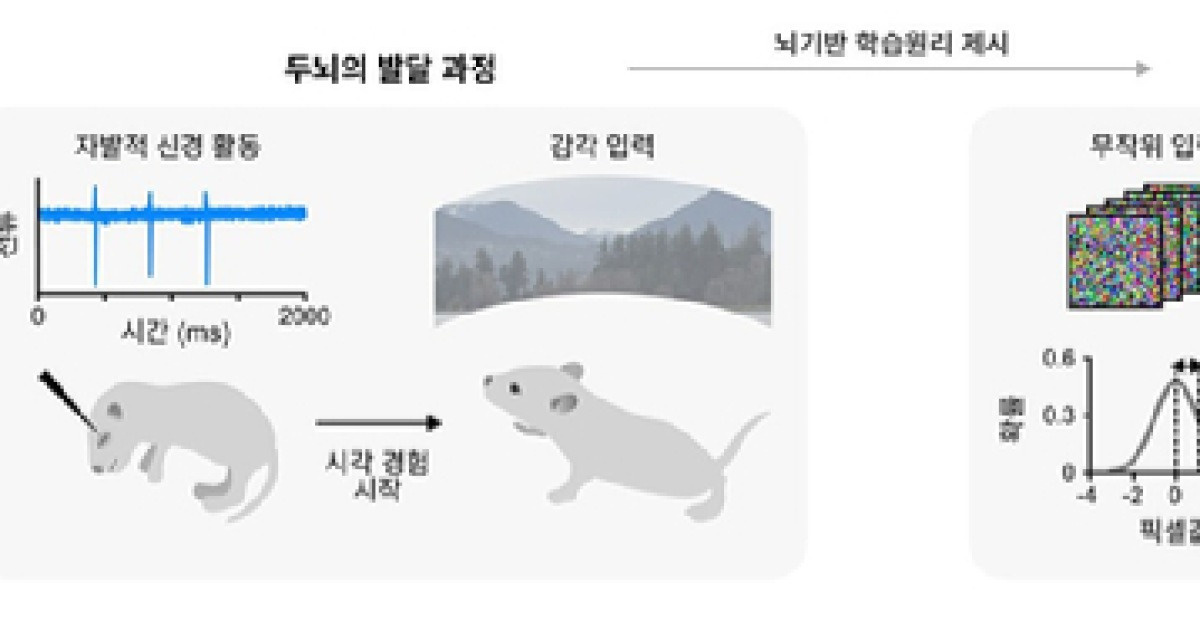 '이게 뭐지?'라고 물었을 때 AI "나도 모르겠다"
