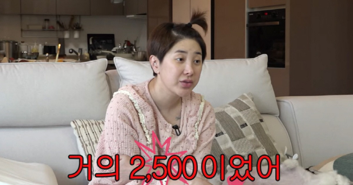 서인영 유튜브 관련 보도 이미지